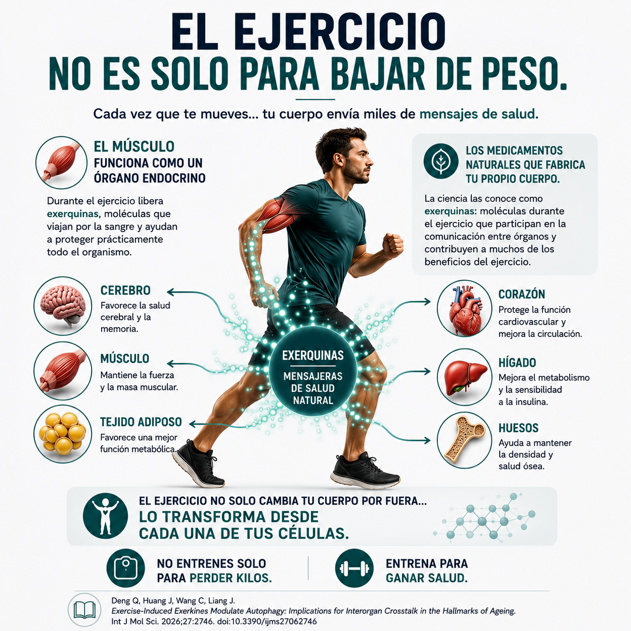 Ejercicio y exerquinas — diapositiva 1 de 1