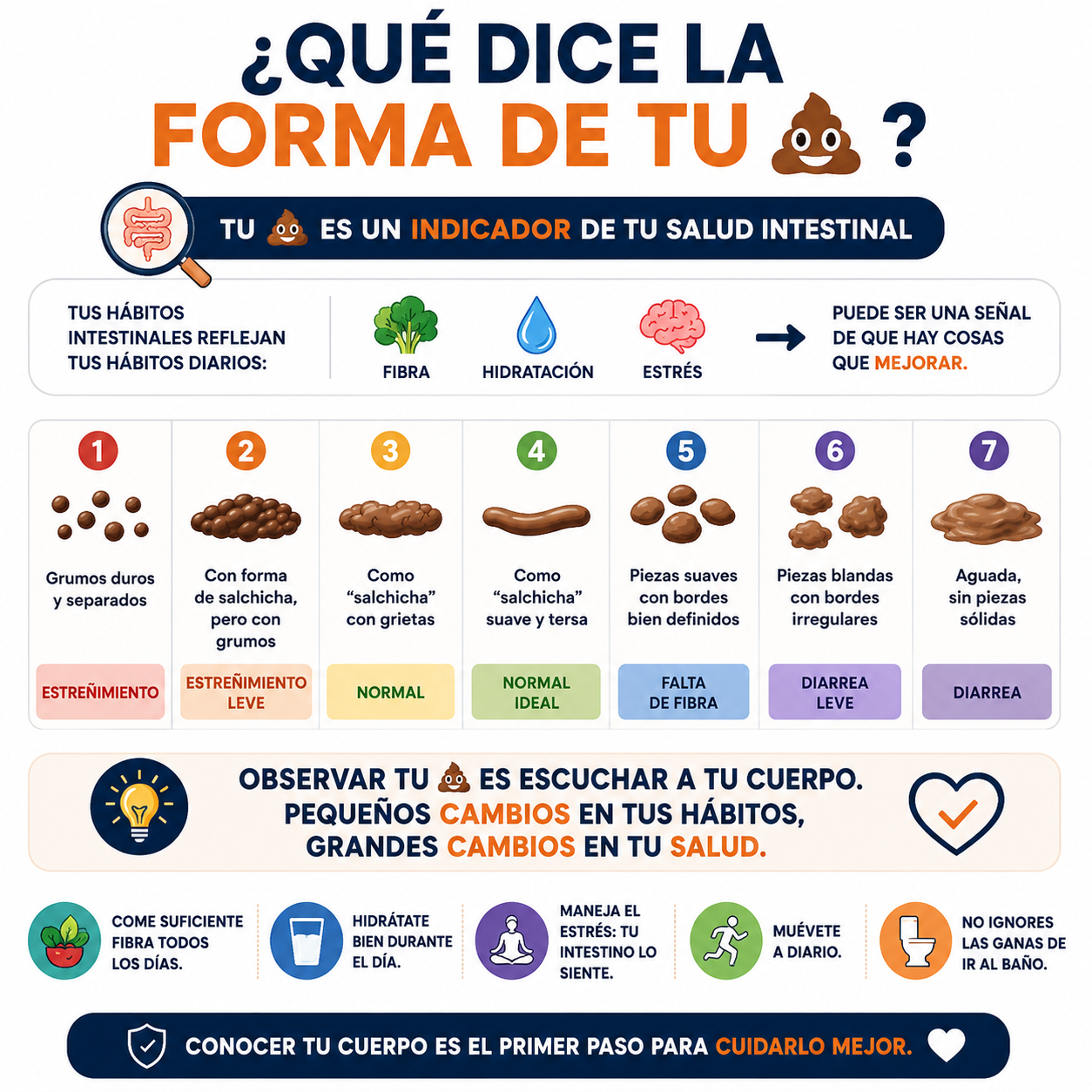 Escala Bristol — diapositiva 1 de 1