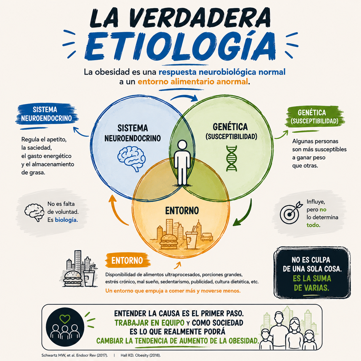 Etiologia obesidad — diapositiva 1 de 1