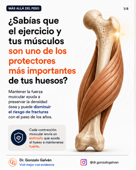 Músculo y hueso — diapositiva 1 de 4